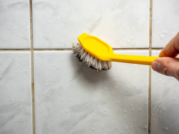 Best Office Mold Removal Services  in Addison, IL