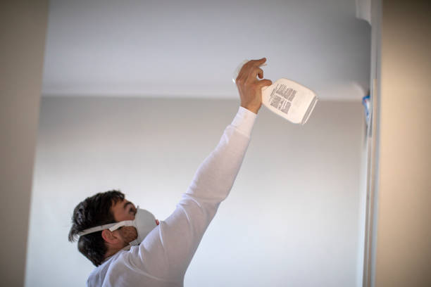 Best Mold Testing  in Addison, IL